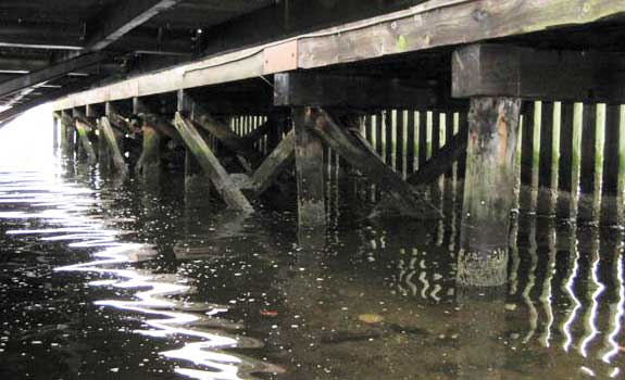 Halifax Harbor – Marine Jetty Timber Pile Protection