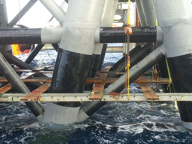 SeaShield 70 system protecting marine piles 