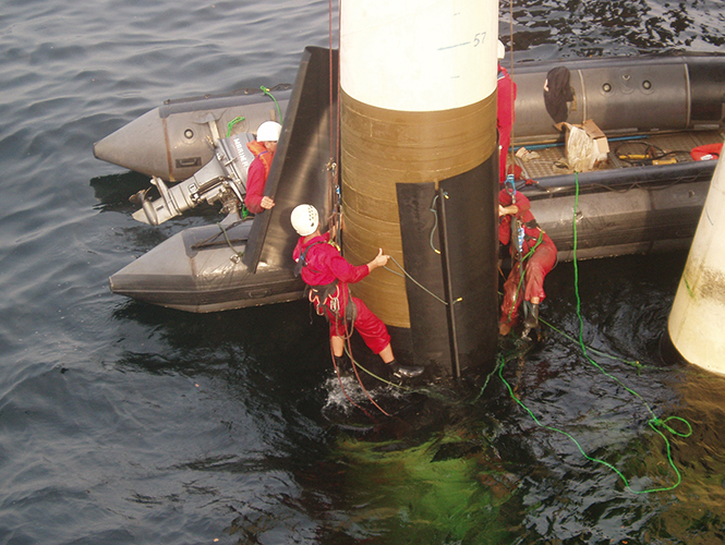 Denso Marine Piling Tape applied to Jetty Pile