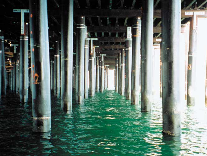 view of protected piles from under the platform