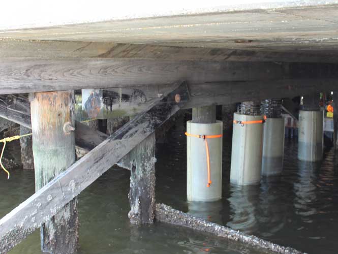 SeaShield 400 applied to underwater piles