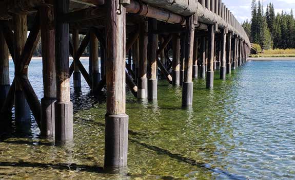 Yellowstone Fishing Bridge – Timber Pile Rehabilitation