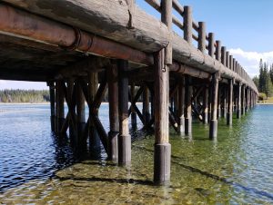 Timber Pile Rehabilitation